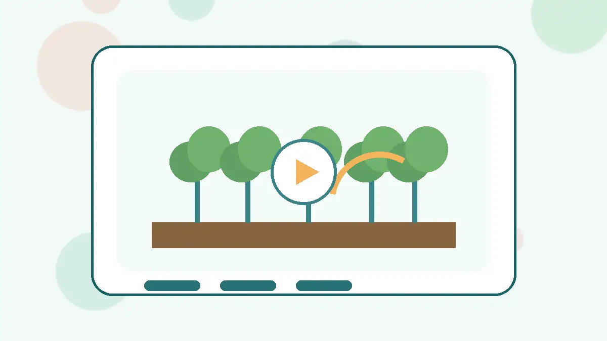 蘑菇视频实用技巧生活视频封面